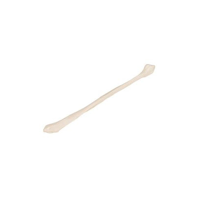 Model af lægben (fibula) – billede 7