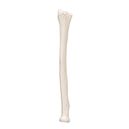 Model af spoleben (radius) – billede 7