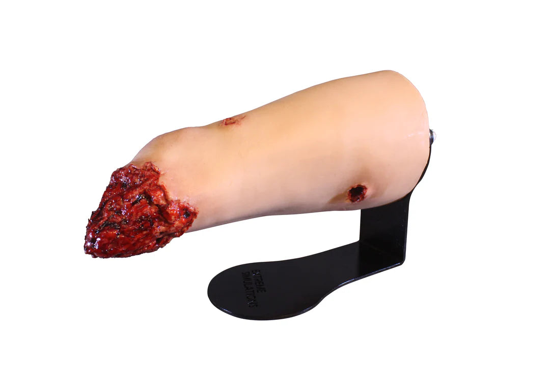 Louis - Bleeding Top Trainer