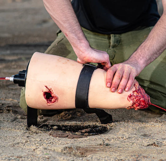 Louis - Bleeding Top Trainer