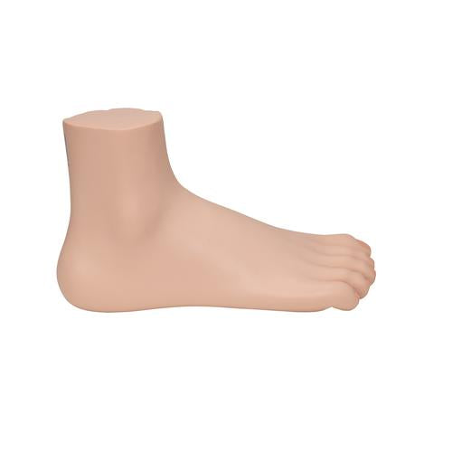 Fodmodel, normal fod – billede 3