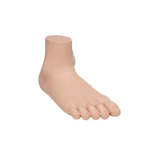 Fodmodel med platfod (pes planus) – billede 2