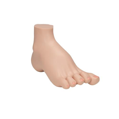 Fodmodel med hulfod (pes cavus) – billede 2
