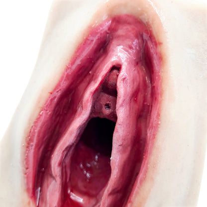 Avanceret Perineal Suturtræner