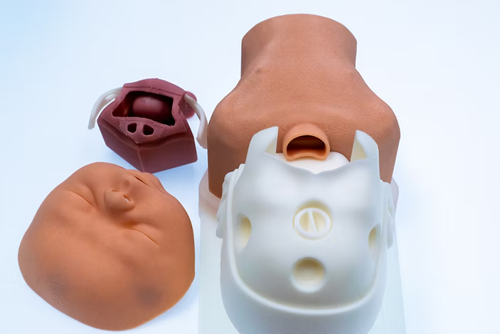 Airway Management Trainer, Newborn