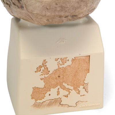 Kranie-replika Homo steinheimensis (Berkhemer, 1936) – billede 3