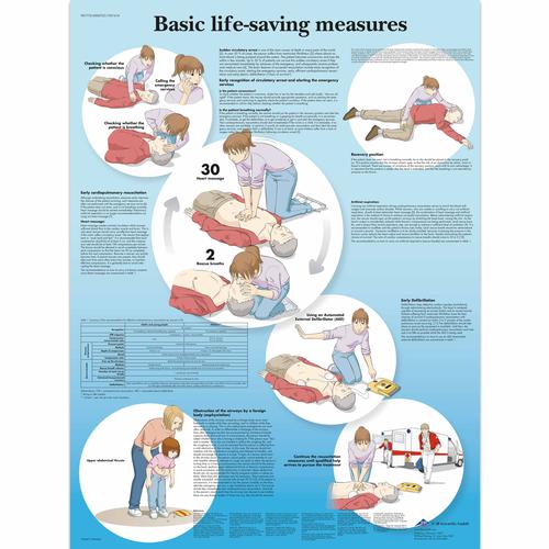 Planche: Basal genoplivning (BLS), papir