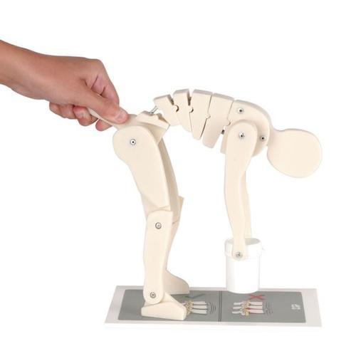 Demonstrationsfigur til løfteteknik