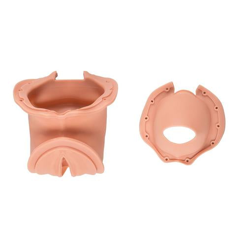 Fødselskanal og Cervix