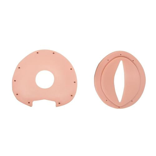 Cervix/Vulva Model P90 OB/Gyn