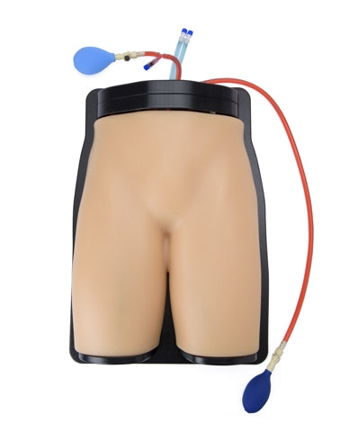 Blue Phantom Ultrasound Training Model Femoral Vascular Access and Regional Anesthesia