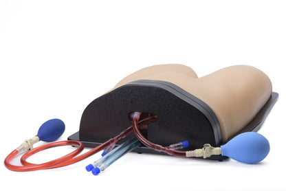 Blue Phantom Ultrasound Training Model Femoral Vascular Access and Regional Anesthesia