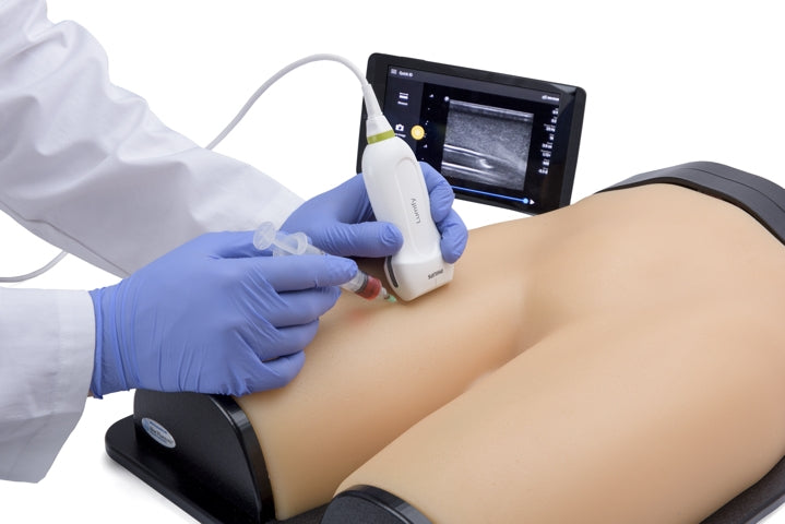 Blue Phantom Ultrasound Training Model Femoral Vascular Access and Regional Anesthesia
