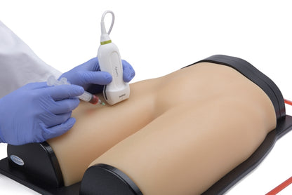 Blue Phantom Ultrasound Training Model Femoral Vascular Access and Regional Anesthesia