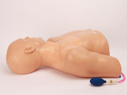 Blue Phantom Ultrasound Training Model Central Line and Regional Anesthesia