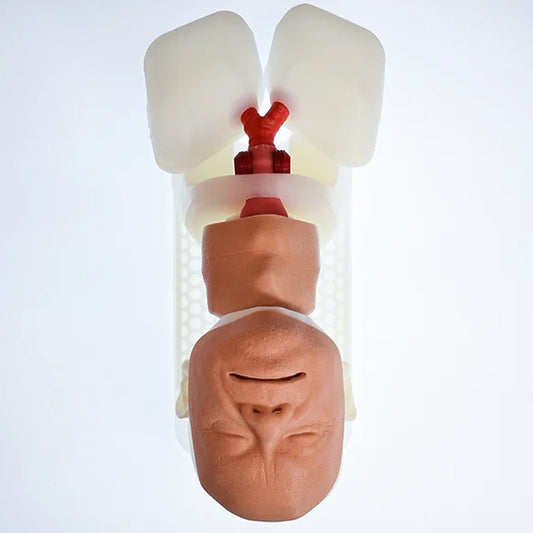 Airway Management Task Trainer
