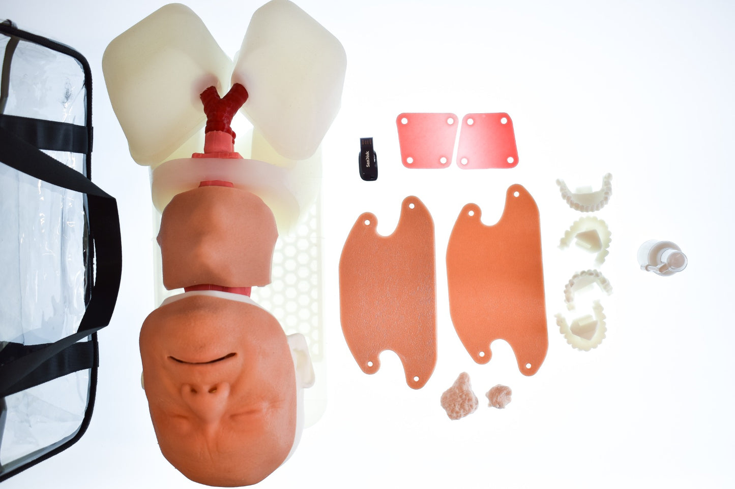 Airway Management Task Trainer