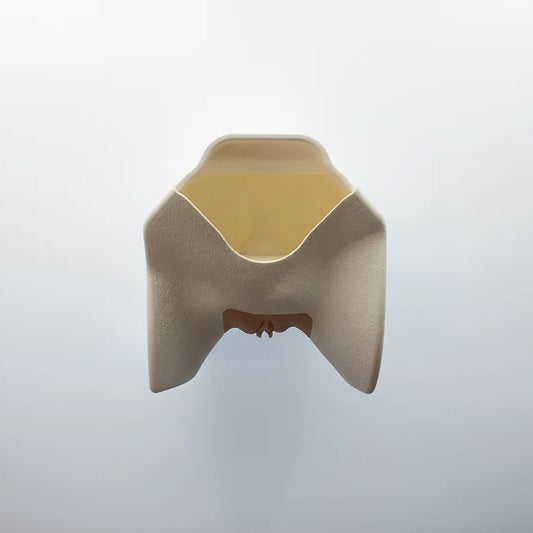 Kateteriseringstræner - Decent simulator