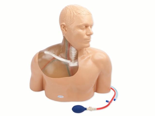 Blue Phantom Ultrasound Central Line Model with Transparent Insert