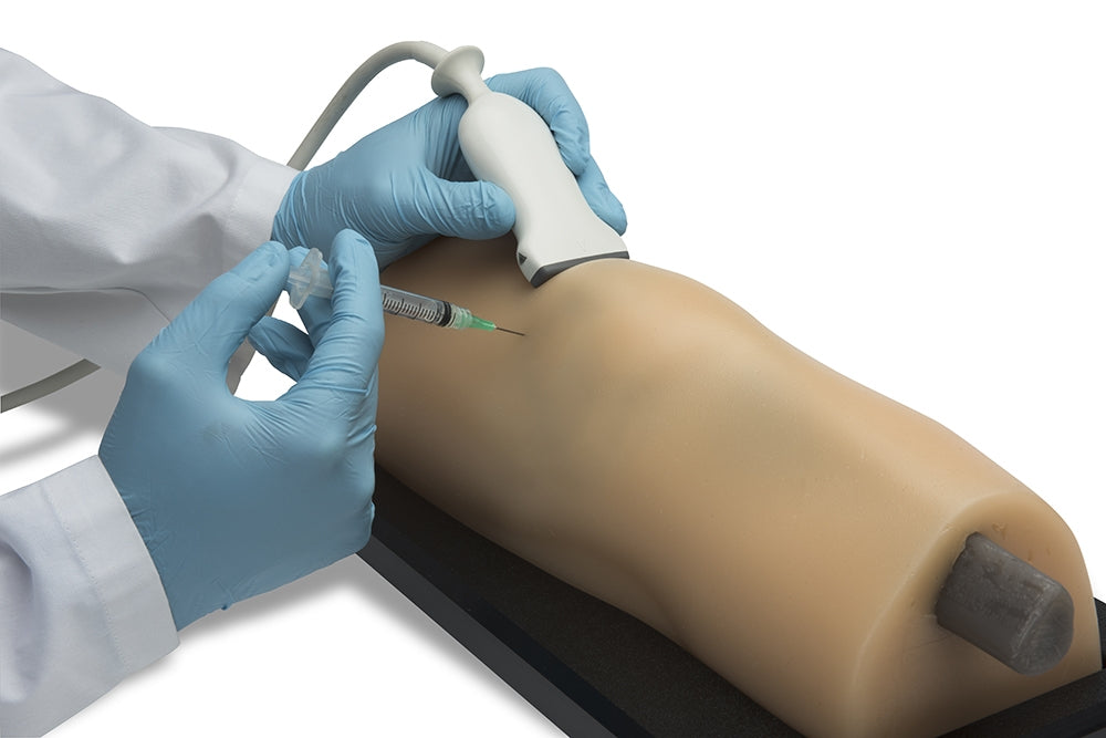 Muskuloskeletal ultralydstræningsmodel BluePhantom