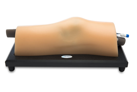 Muskuloskeletal ultralydstræningsmodel BluePhantom