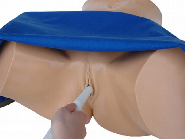 BluePhantom transvaginal ultraljudsträningsmodell för generell patologi