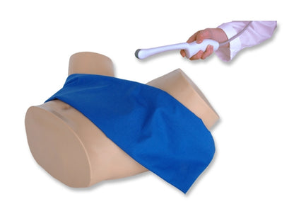 BluePhantom transvaginal ultralydstræningsmodel til sonohysterografi og sonosalpingografi