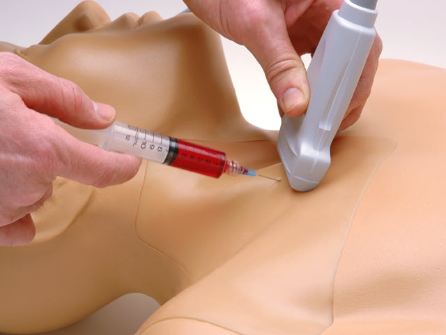 Blue Phantom Ultrasound Central Line Model with Transparent Insert