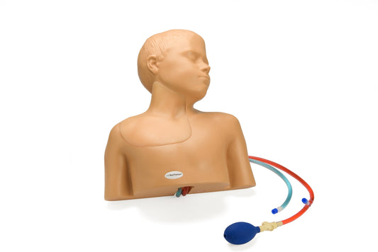 Blue Phantom Ultrasound Training Model Pediatric Regional Anesthesia Central Line