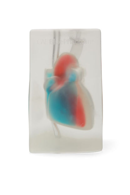 Blue Phantom Ultrasound Training Block Echocardiography