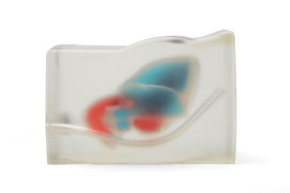 Blue Phantom Ultrasound Training Block Echocardiography