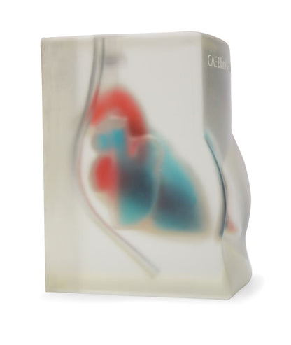 Blue Phantom Ultrasound Training Block Echocardiography