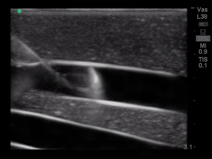 Blue Phantom Ultrasound Training Model Central Line and Regional Anesthesia