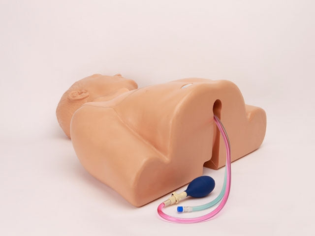 Blue Phantom Ultrasound Training Model Central Line and Regional Anesthesia