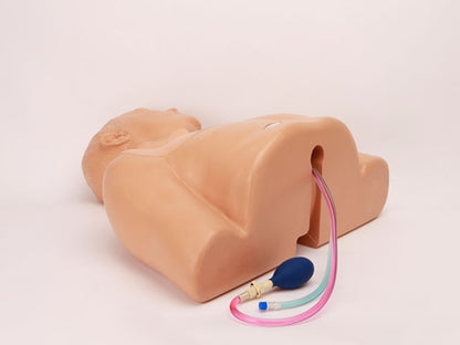 Blue Phantom Ultrasound Training Model Central Line and Regional Anesthesia