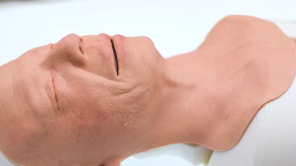 Airway Management Trainer V2 Decent