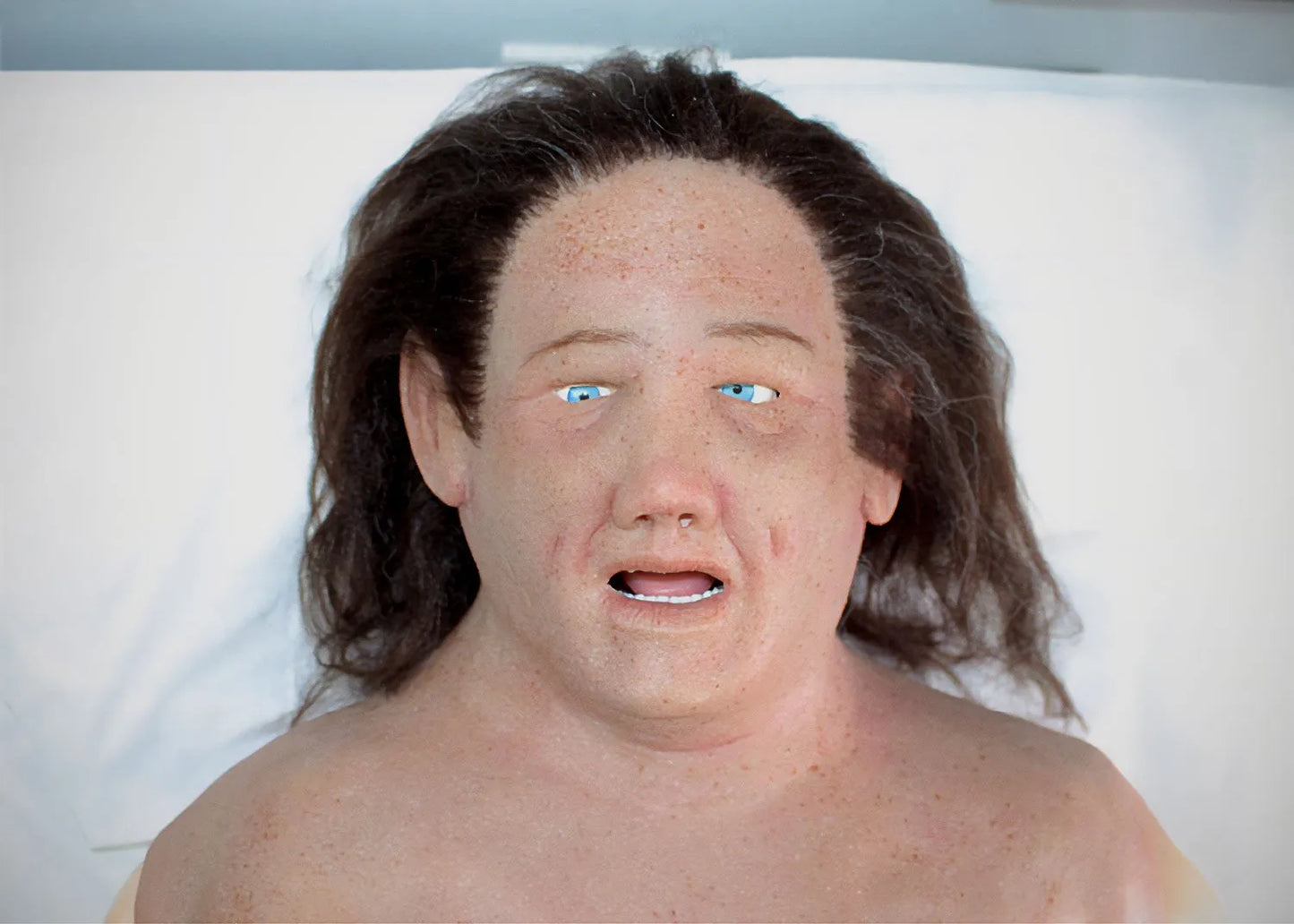 Eva- Realistic head-to-abdomen overlay for simulation (Emulant)