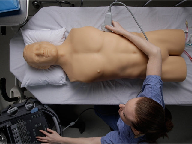 Blue Phantom ultraljudsträningsmodell snabb undersökning i realtid