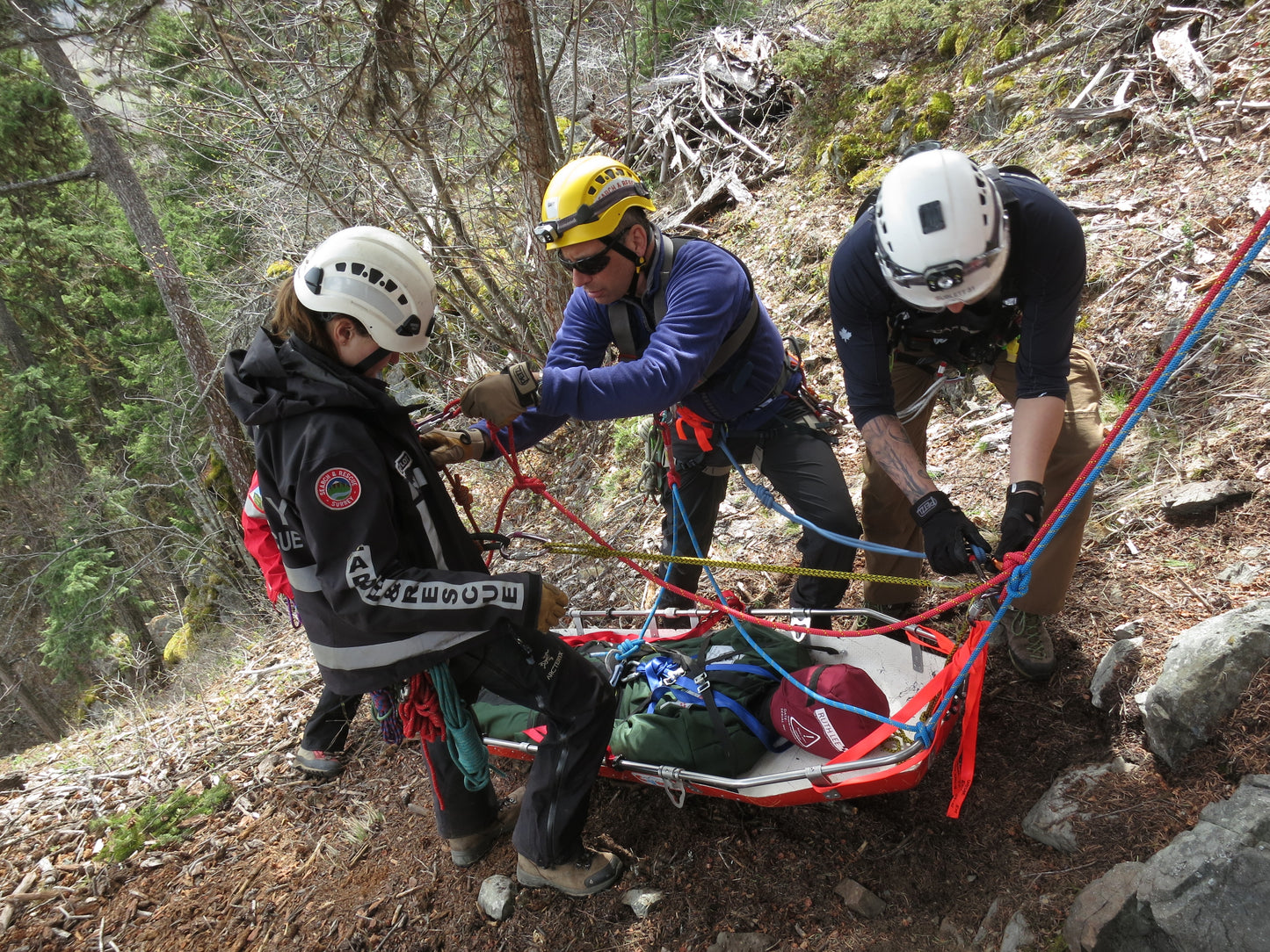 Training Manikin Working at Height