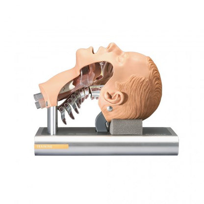 Ambu Airway Management trainer
