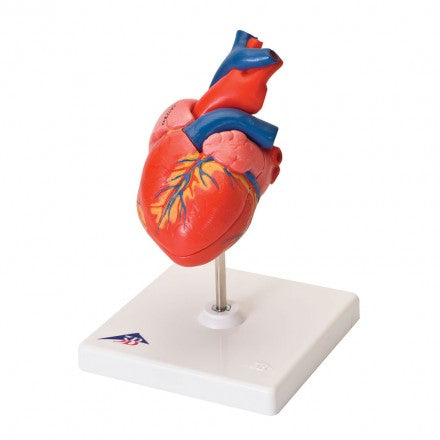 Classic Heart 2 parts