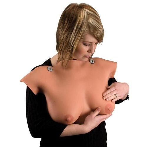 Bryst Selvundersøgelses model