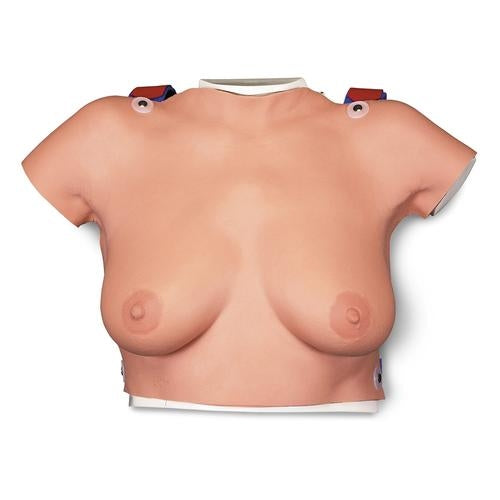 Bryst Selvundersøgelses model