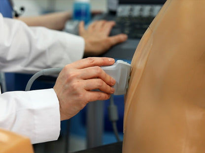 Blue Phantom Lumbar Puncture and Spinal Epidural