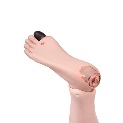 Patient Care Manikin Pro