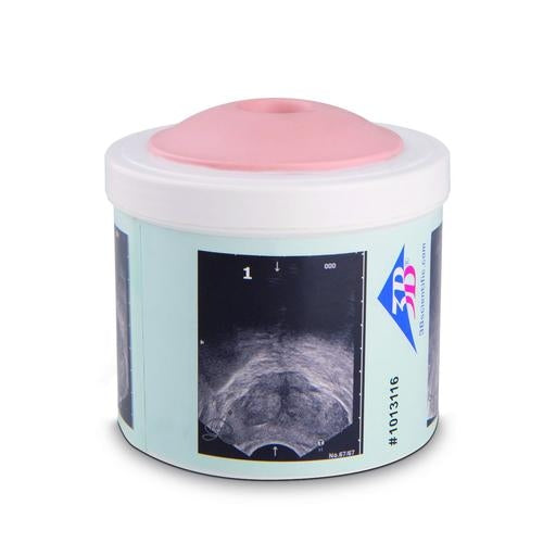 Prostate Examination Trainer