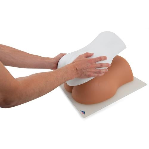 Lumbar Spine Injection Trainer