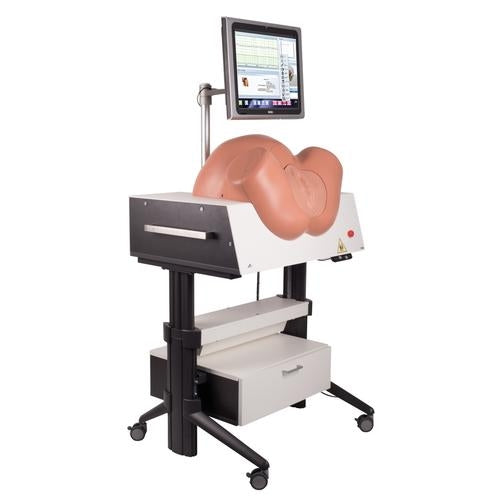 SIMone Birth Simulator