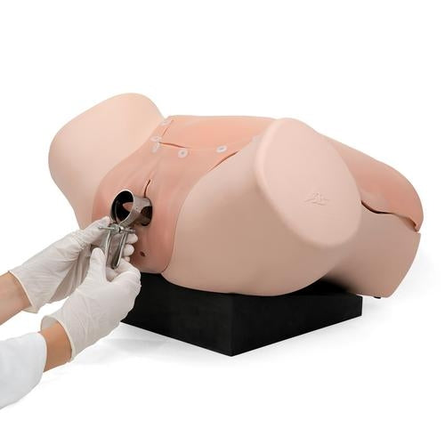 Gynecological Skills Trainer
