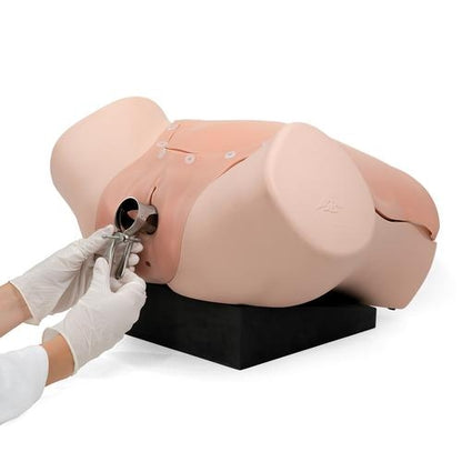 Gynecological Skills Trainer